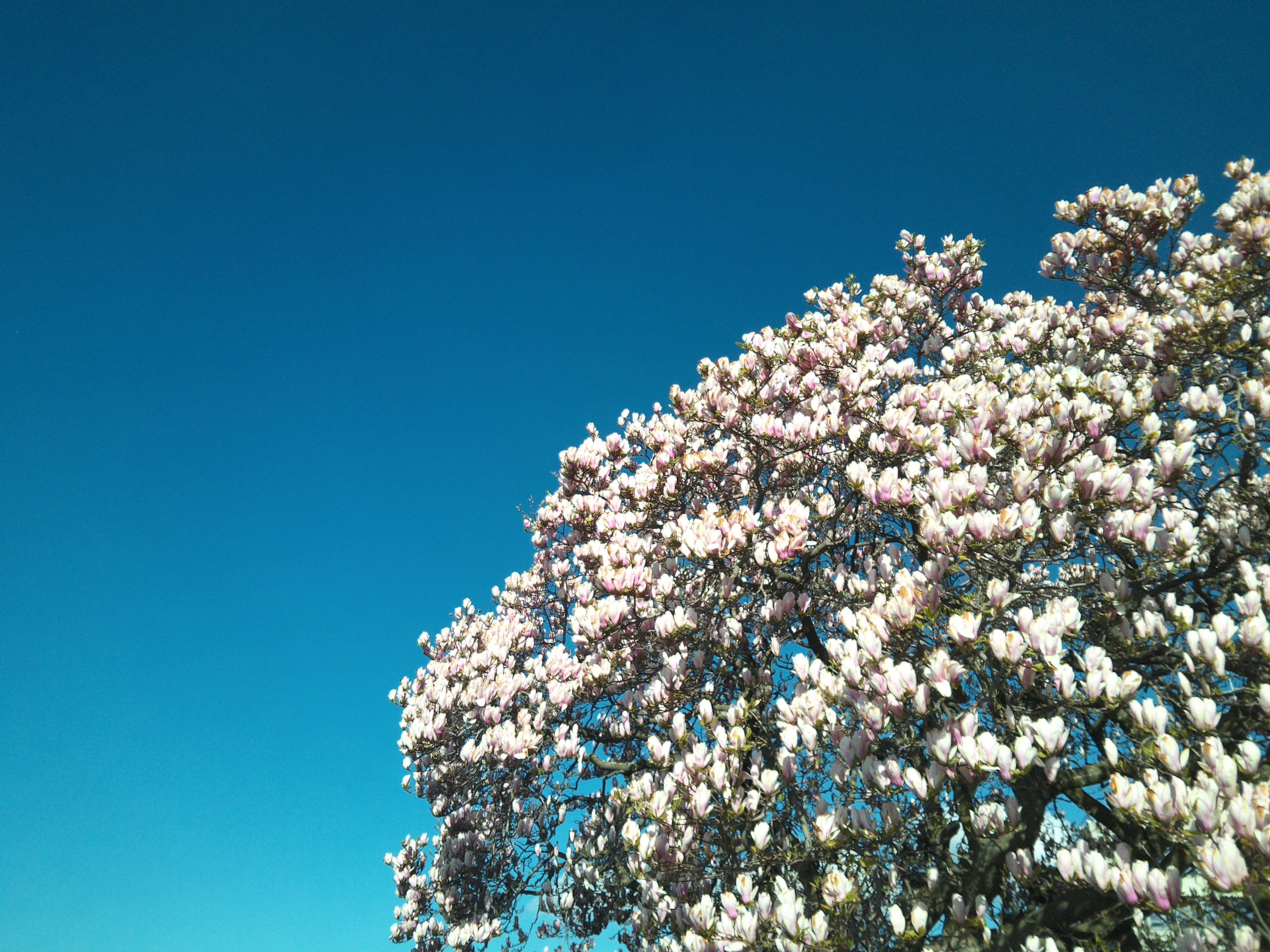Passer moins de temps devant un écran grâce au printemps - Ancre