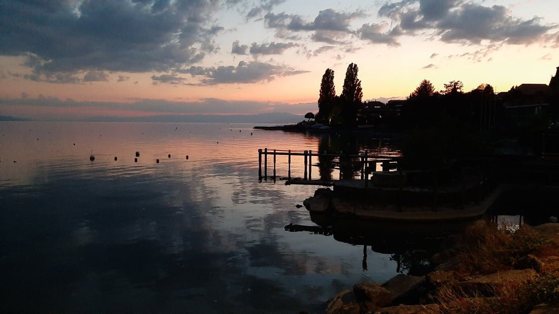 Quoi écrire dans son journal ? - Ancre